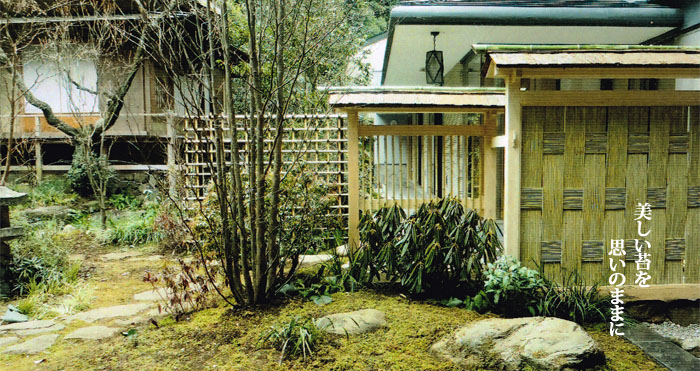 地球と住まいに優しい天然苔のポテンシャルの写真